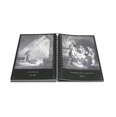 Pismo Święte w obrazach - Gustave Doré | Na Jej Głowie