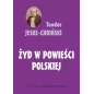 Teodor Jeske-Choiński - Żyd w powieści polskiej