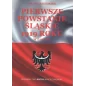Pierwsze Powstanie Śląskie 1919 roku w zarysie - Grzegorzek Józef