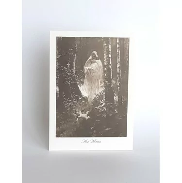 Seria VI - Obrazki z życia Jezusa i Maryi, autorstwa Piotra Stachiewicza zawiera 4 pocztówki – obrazki | Królowa Korony Polskiej