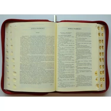 Oazowa Biblia Tysiąclecia - Pismo Święte Starego i Nowego Testamentu - skórzany brązowy futerał, paginatory