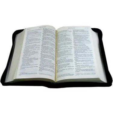 Biblia Pielgrzyma - futerał, złocone brzegi